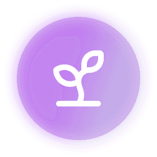 Assessoramento digital