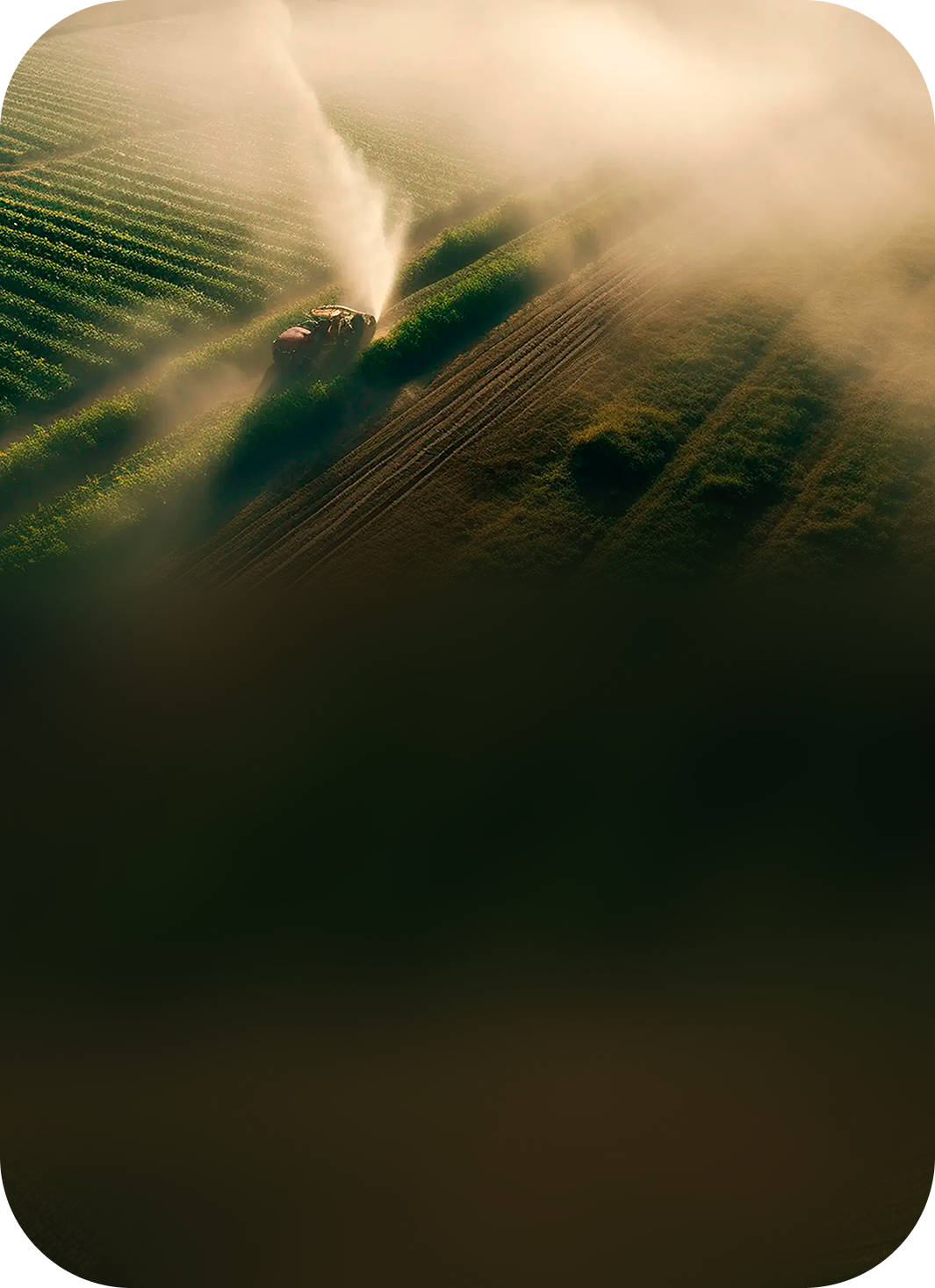Vista aérea de um trator pulverizando uma lavoura ao amanhecer