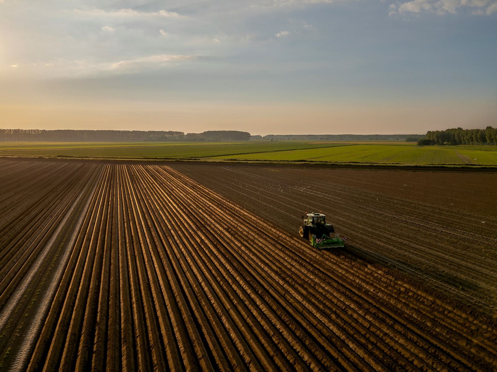 Vista aérea de talhões agrícolas ao entardecer